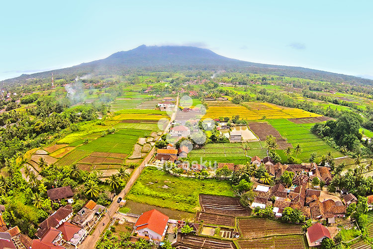 Paddy Field near Mount Karang - Serang